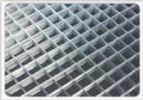 Welded Wire Mesh